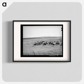 アートポスター-Rancher Feeding Hay to Cattle, Apache County
 - ラッセル リー Poster.