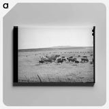 アートパネル-Rancher Feeding Hay to Cattle, Apache County
 - ラッセル リー Canvas.