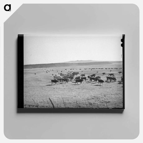アートパネル-Rancher Feeding Hay to Cattle, Apache County
 - ラッセル リー Canvas.