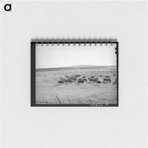 アートメモ帳-Rancher Feeding Hay to Cattle, Apache County
 - ラッセル リー Memo.