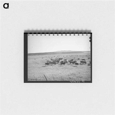 アートメモ帳-Rancher Feeding Hay to Cattle, Apache County
 - ラッセル リー Memo.