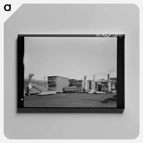 アートパネル-Lumberyard at Sawmill, Tillamook, Oregon
 - ラッセル リー Canvas.