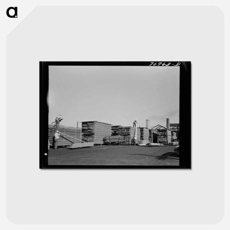 アートポストカード-Lumberyard at Sawmill, Tillamook, Oregon
 - ラッセル リー Postcard.
