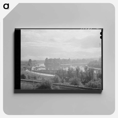 アートパネル-Log Rafts in Columbia River, Cowlitz County, Washington
 - ラッセル リー Canvas.