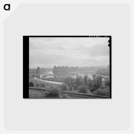 アートポストカード-Log Rafts in Columbia River, Cowlitz County, Washington
 - ラッセル リー Postcard.