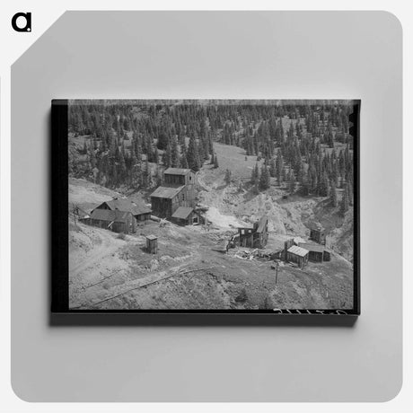 アートパネル-Abandoned Mine, San Juan County, Colorado
 - ラッセル リー Canvas.