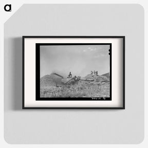 アートポスター-Threshing Wheat near Questa, New Mexico
 - ラッセル リー Poster.