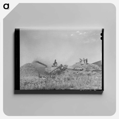 アートパネル-Threshing Wheat near Questa, New Mexico
 - ラッセル リー Canvas.