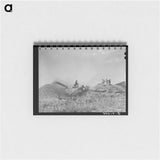 アートメモ帳-Threshing Wheat near Questa, New Mexico
 - ラッセル リー Memo.