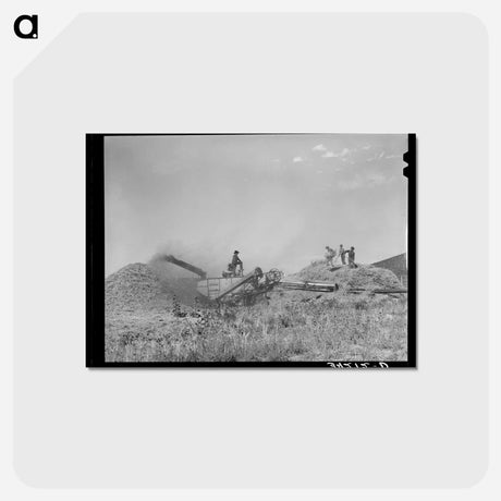 アートポストカード-Threshing Wheat near Questa, New Mexico
 - ラッセル リー Postcard.