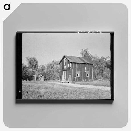 アートパネル-Cut-over Farm House near Littlefork, Minnesota
 - ラッセル リー Canvas.