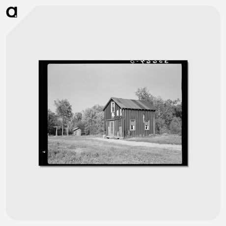 アートポストカード-Cut-over Farm House near Littlefork, Minnesota
 - ラッセル リー Postcard.
