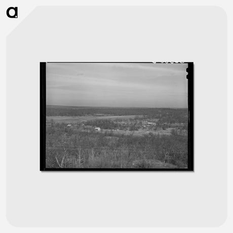 アートポストカード-Canadian River Bottom, McIntosh County, Oklahoma
 - ラッセル リー Postcard.