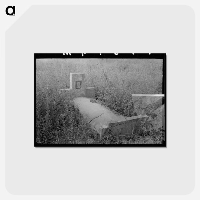 アートポストカード-Grave Near Cruger, Mississippi
 - ラッセル リー Postcard.