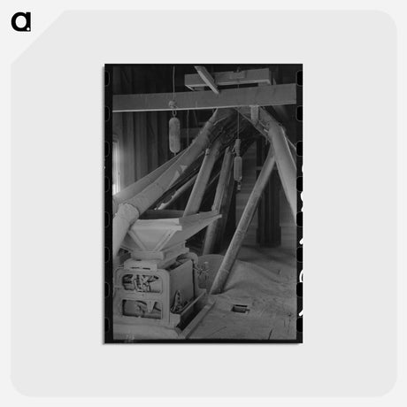 アートポストカード-Directing Bulk Wheat, Eureka Flats, Walla Walla County, Washington
 - ラッセル リー Postcard.