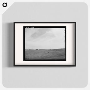 アートポスター-Freshly Harrowed Land, Whitman County, Washington
 - ラッセル リー Poster.