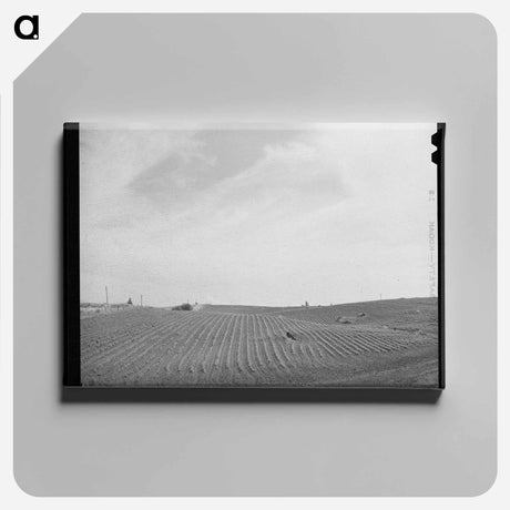 アートパネル-Freshly Harrowed Land, Whitman County, Washington
 - ラッセル リー Canvas.