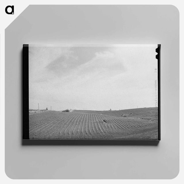 アートパネル-Freshly Harrowed Land, Whitman County, Washington
 - ラッセル リー Canvas.