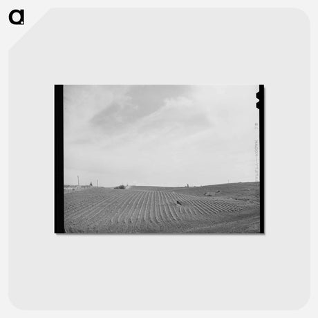 アートポストカード-Freshly Harrowed Land, Whitman County, Washington
 - ラッセル リー Postcard.
