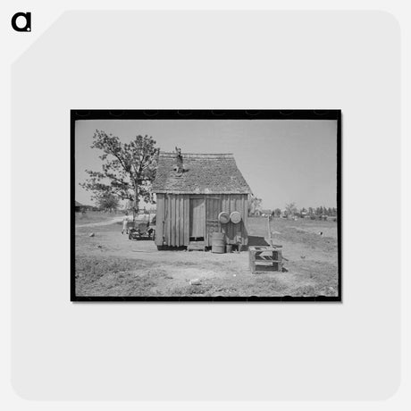アートポストカード-Sharecropper's Home, New Madrid County, Missouri
 - ラッセル リー Postcard.