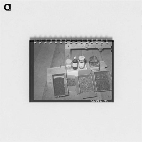 アートメモ帳-Dyeing Ingredients, WPA Weaving Project, Costilla, New Mexico
 - ラッセル リー Memo.