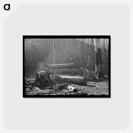 アートポストカード-Loading Logs onto Truck, Tillamook County, Oregon
 - ラッセル リー Postcard.