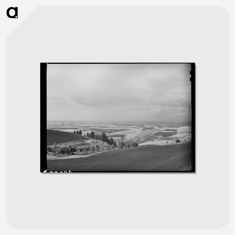 アートポストカード-Wheat Fields from Winchester Hill, Nez Perce County, Idaho
 - ラッセル リー Postcard.