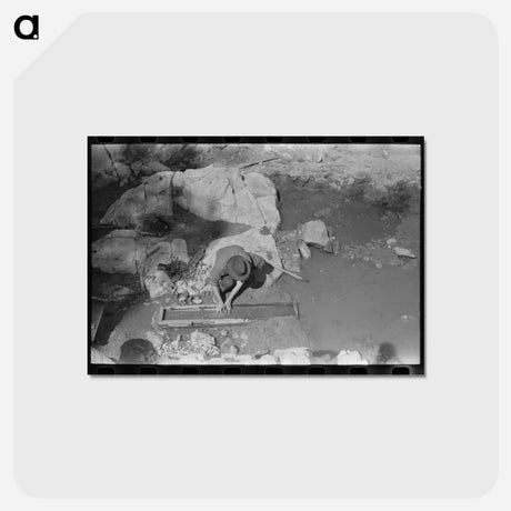 アートポストカード-Prospector Working the Sluice Box, Pinos Altos, New Mexico
 - ラッセル リー Postcard.