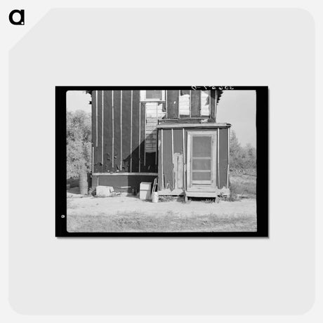 アートポストカード-Farmhouse on Cut-Over Land Near Northome, Minnesota
 - ラッセル リー Postcard.