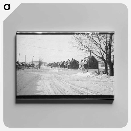 アートパネル-View of New Houses at the Ironwood Homesteads
 - ラッセル リー Canvas.