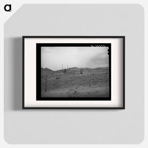 アートポスター-Sheep on the Mountainside, San Juan County, Colorado
 - ラッセル リー Poster.