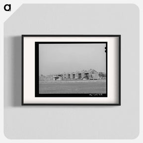 アートポスター-Houses for Workers on Cotton Farm, Refugio County, Texas
 - ラッセル リー Poster.
