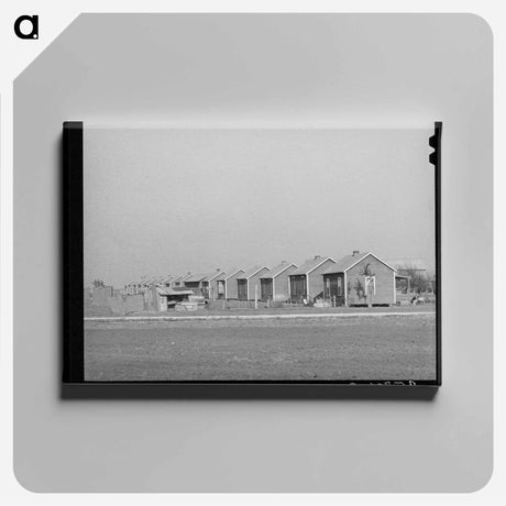 アートパネル-Houses for Workers on Cotton Farm, Refugio County, Texas
 - ラッセル リー Canvas.