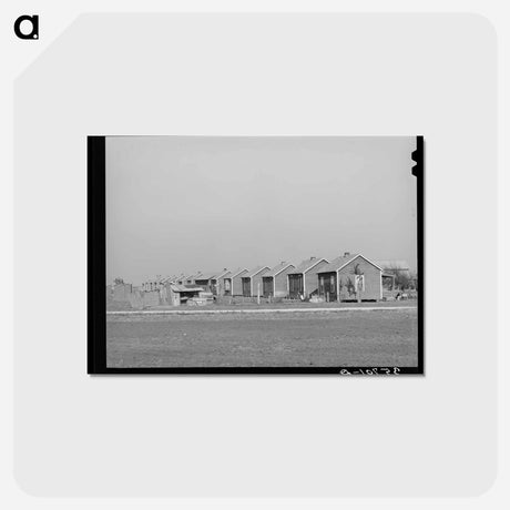 アートポストカード-Houses for Workers on Cotton Farm, Refugio County, Texas
 - ラッセル リー Postcard.