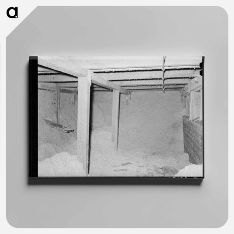 アートパネル-Cotton Seed in Storage, McLennan County, Texas
 - ラッセル リー Canvas.
