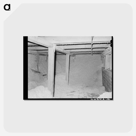 アートポストカード-Cotton Seed in Storage, McLennan County, Texas
 - ラッセル リー Postcard.