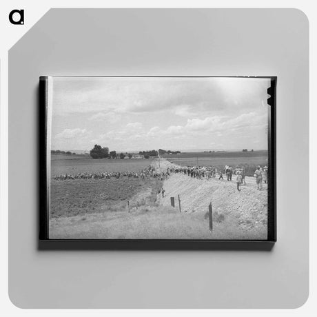 アートパネル-Pea Pickers Going into the Fields, Canyon County, Idaho
 - ラッセル リー Canvas.