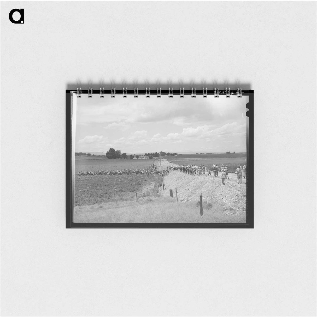 アートメモ帳-Pea Pickers Going into the Fields, Canyon County, Idaho
 - ラッセル リー Memo.