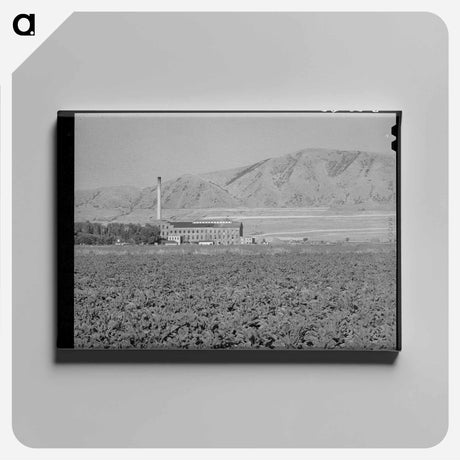 アートパネル-Sugar Beet Field and Processing Plant, Garland, Utah
 - ラッセル リー Canvas.