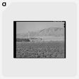 アートポストカード-Sugar Beet Field and Processing Plant, Garland, Utah
 - ラッセル リー Postcard.