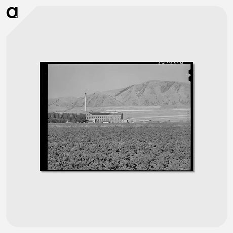 アートポストカード-Sugar Beet Field and Processing Plant, Garland, Utah
 - ラッセル リー Postcard.