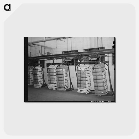 アートポストカード-Conveyor of Cotton at Compress, Houston, Texas
 - ラッセル リー Postcard.