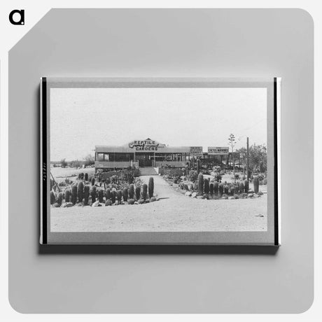 アートパネル-Tourist Court Sign, Phoenix, Arizona
 - ラッセル リー Canvas.