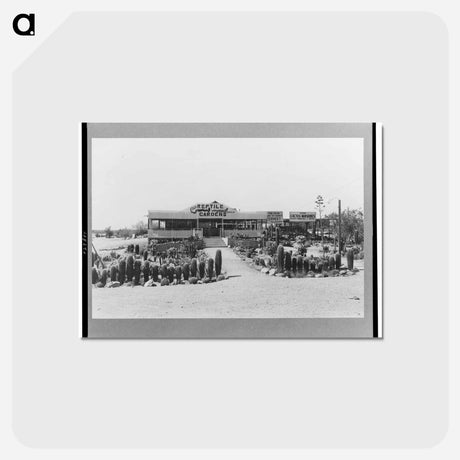 アートポストカード-Tourist Court Sign, Phoenix, Arizona
 - ラッセル リー Postcard.