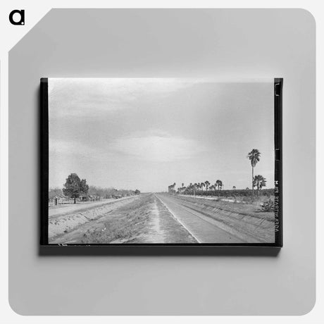 アートパネル-Irrigation Ditch, San Juan, Texas
 - ラッセル リー Canvas.