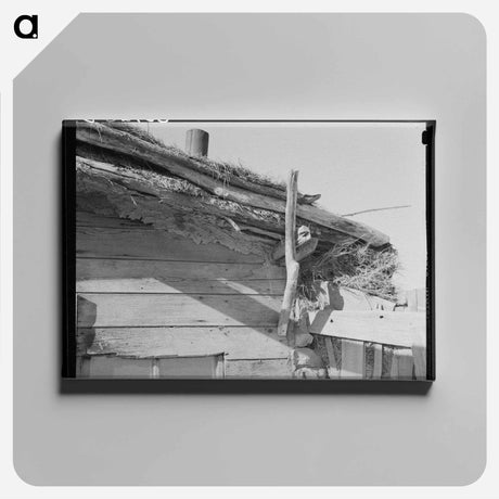 アートパネル-Construction of Roof, Elmer Thompson Shack, Sheridan County, Montana
 - ラッセル リー Canvas.