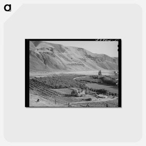 アートポストカード-Farm on Banks of Columbia River, Walla Walla County, Washington
 - ラッセル リー Postcard.