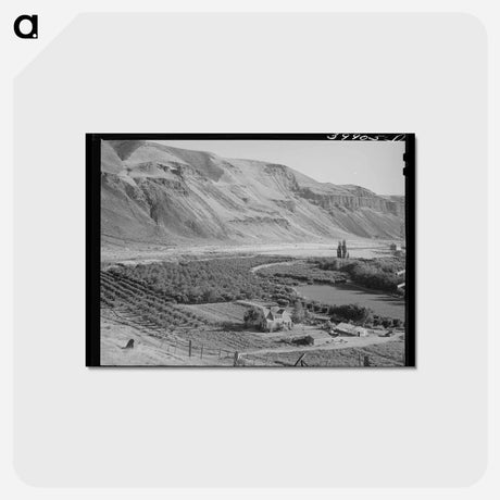 アートポストカード-Farm on Banks of Columbia River, Walla Walla County, Washington
 - ラッセル リー Postcard.