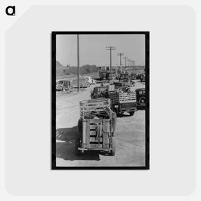 アートポストカード-Trucks at San Angelo Stockyard
 - ラッセル リー Postcard.