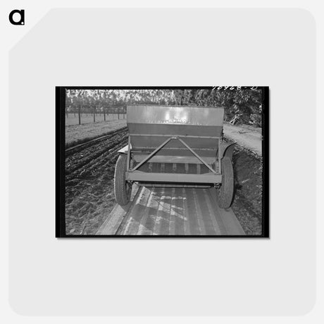 アートポストカード-Guayule Planter, Intercontinental Rubber Producers, Salinas
 - ラッセル リー Postcard.